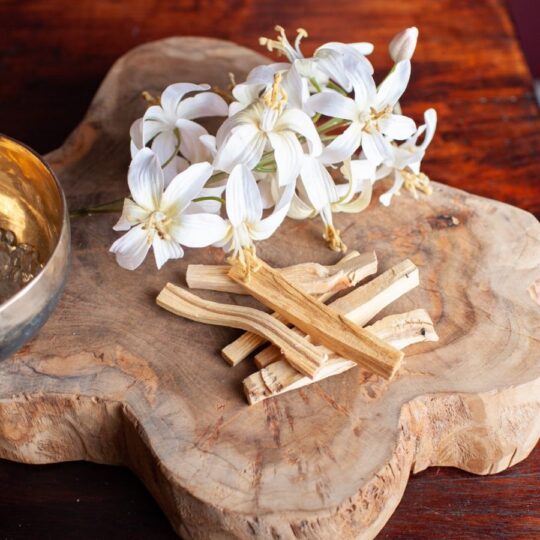Palo Santo Heilig Hout Sticks 25gr